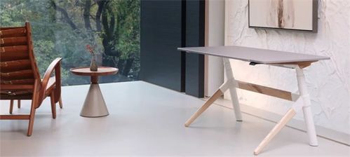 捷昌承辦全國(guó)家具標(biāo)準(zhǔn)審定會(huì),促進(jìn)線性驅(qū)動(dòng)技術(shù)與家具產(chǎn)業(yè)融合創(chuàng)新